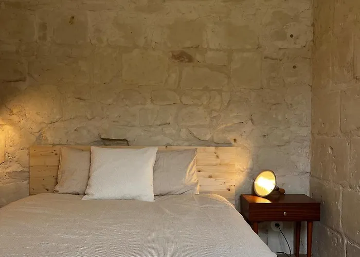 La Maison Familiale Des Bords De Loire 度假居 *